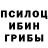 Галлюциногенные грибы Psilocybe Anni Narato