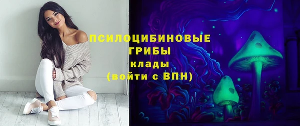 гашик Кодинск