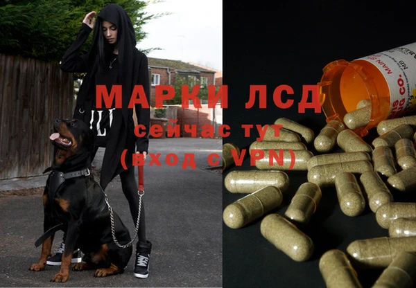 скорость mdpv Костерёво