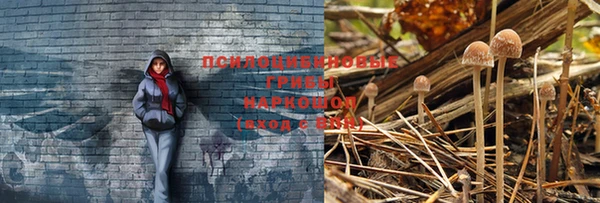 первитин Козловка