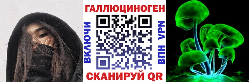 Купить закладки  Новотроицк  Псилоцибиновые грибы Psilocybe 