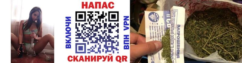 Купить где  Новотроицк  Марихуана ГИДРОПОН 